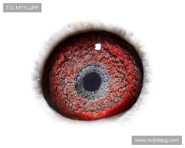 利来ag国际厅最新安全保障措施全面升级确保玩家资金与信息安全